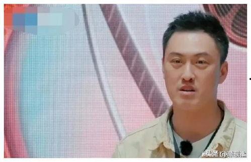 娱乐圈吃瓜爆料黑话,幕后黑幕，瓜田乱舞，真相大起底！